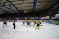 DEL, Saison 2018/2019, Iserlohn Roosters vs. Krefeld Pinguine