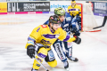 DEL, Saison 2018/2019, Iserlohn Roosters vs. Krefeld Pinguine