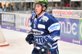 DEL, Saison 2018/2019, Iserlohn Roosters vs. Krefeld Pinguine