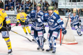 DEL, Saison 2018/2019, Iserlohn Roosters vs. Krefeld Pinguine