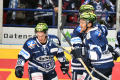 DEL, Saison 2018/2019, Iserlohn Roosters vs. Krefeld Pinguine