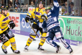 DEL, Saison 2018/2019, Iserlohn Roosters vs. Krefeld Pinguine