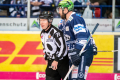 DEL, Saison 2018/2019, Iserlohn Roosters vs. Krefeld Pinguine