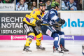 DEL, Saison 2018/2019, Iserlohn Roosters vs. Krefeld Pinguine