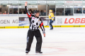 DEL, Saison 2018/2019, Iserlohn Roosters vs. Krefeld Pinguine