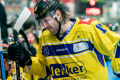 DEL, Saison 2018/2019, Iserlohn Roosters vs. Krefeld Pinguine