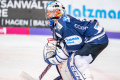 DEL, Saison 2018/2019, Iserlohn Roosters vs. Krefeld Pinguine