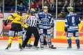 DEL, Saison 2018/2019, Iserlohn Roosters vs. Krefeld Pinguine