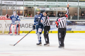 DEL, Saison 2018/2019, Iserlohn Roosters vs. Krefeld Pinguine